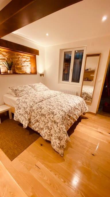 Renove Avec Patio, Coeur Du Centre Appartement Besançon